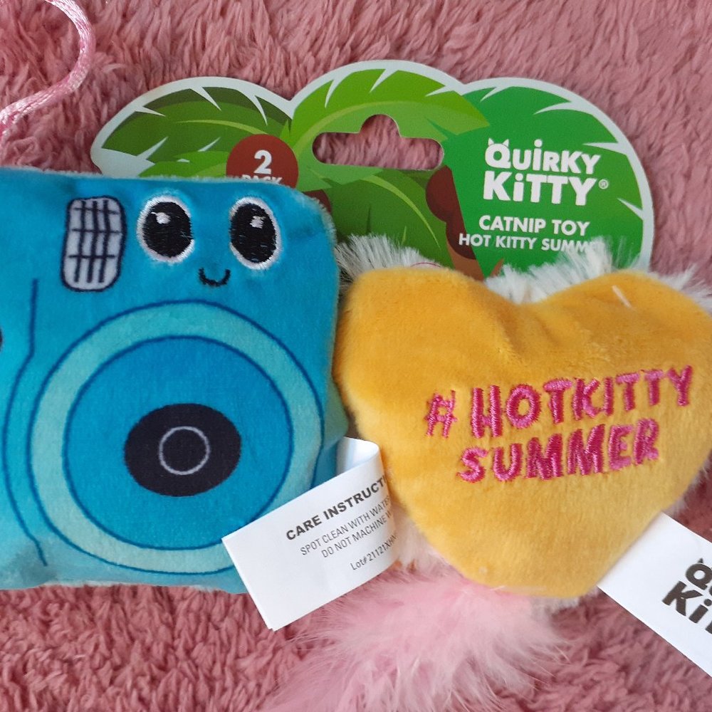 Brand New Quirky Kitty CatNip Cat Toy-2 CT.